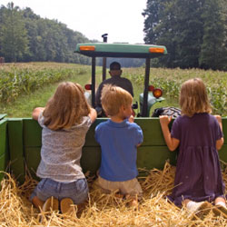 enfants regardant un champ |