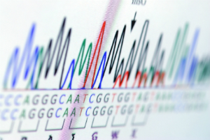 Comprendre l’effet des gènes sur notre santé