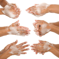 Lavage des mains 101 : le faites-vous correctement?